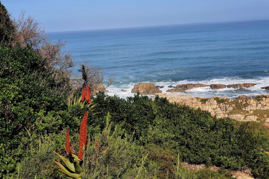 0 Bedroom Property for Sale in Fynbosstrand Western Cape